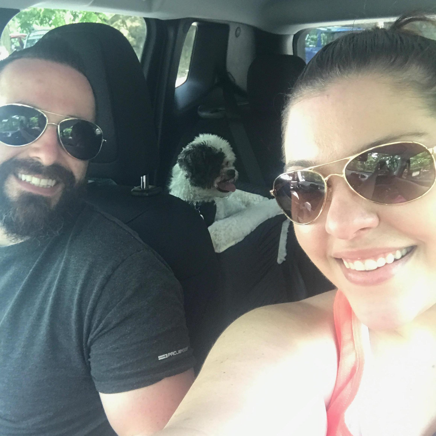Hiking with the pooches
