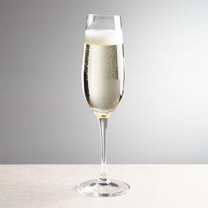 Viv Champagne Glasses, Set of 8