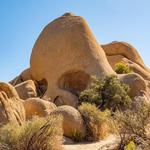 Brave Skull Rock