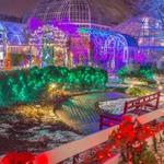 Visit Phipps Conservatory