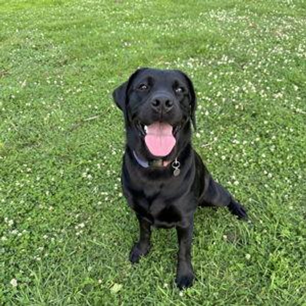 Honeymoon Fund