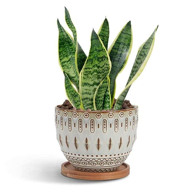 G EPGardening Vintage Succulent Planter Large Plant Pot Ceramic Bohemian Planter Flower Pot Indoor Home Decor with Drainage Hole and Bamboo Tray