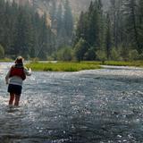 Fly Fishing