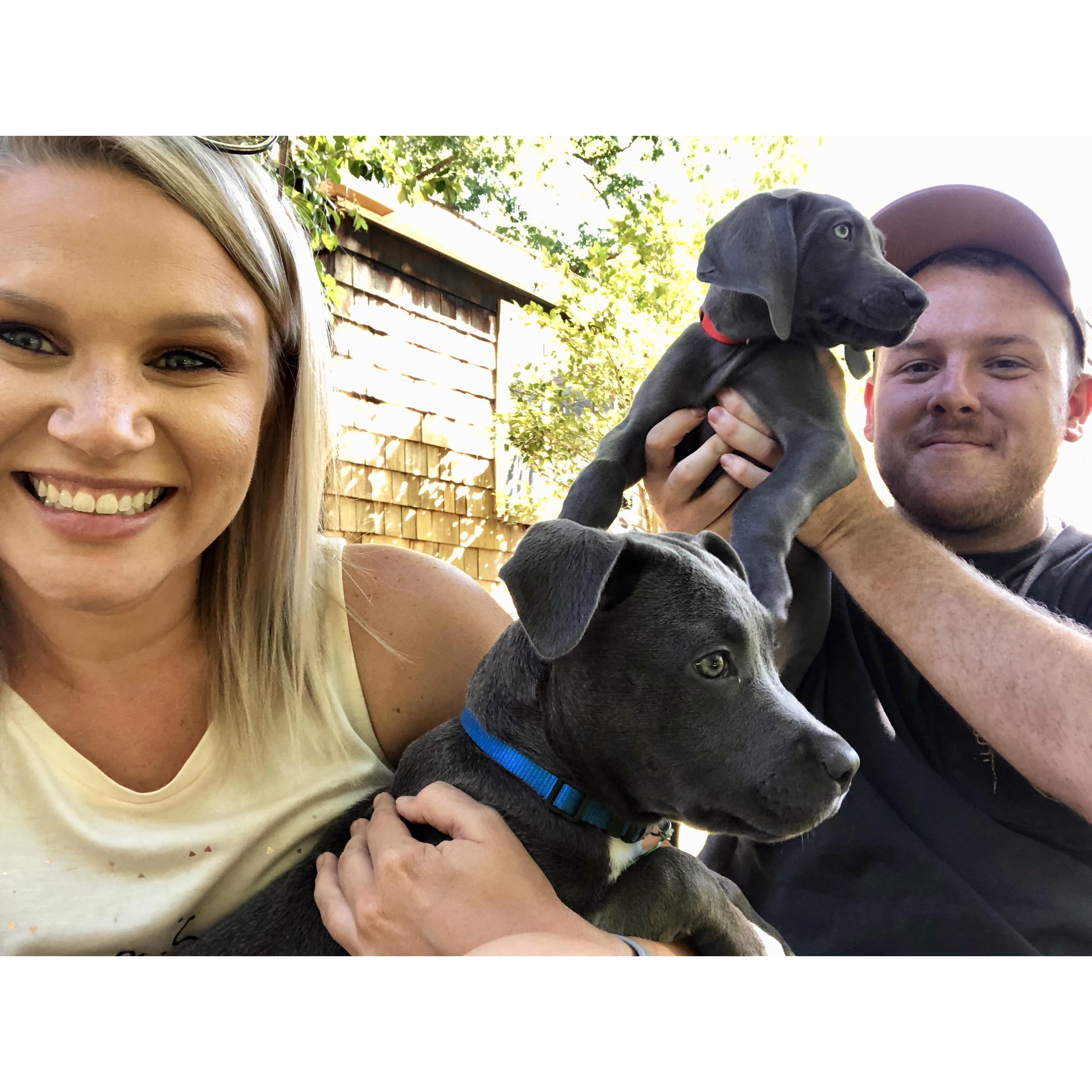 Family pictures are hard lol