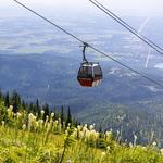 Whitefish Mountain Resort