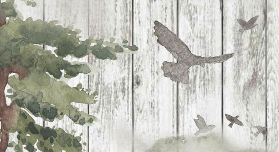 Footer image