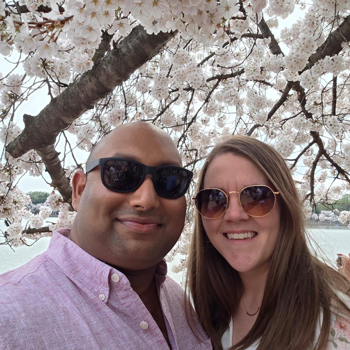 Cherry Blossoms DC 2025