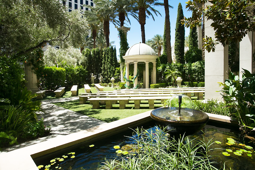 The Wedding Website of Lauren Frye and David Walden