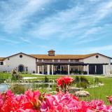 Truffle Pig Winery