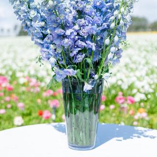Estelle Sunday Vase