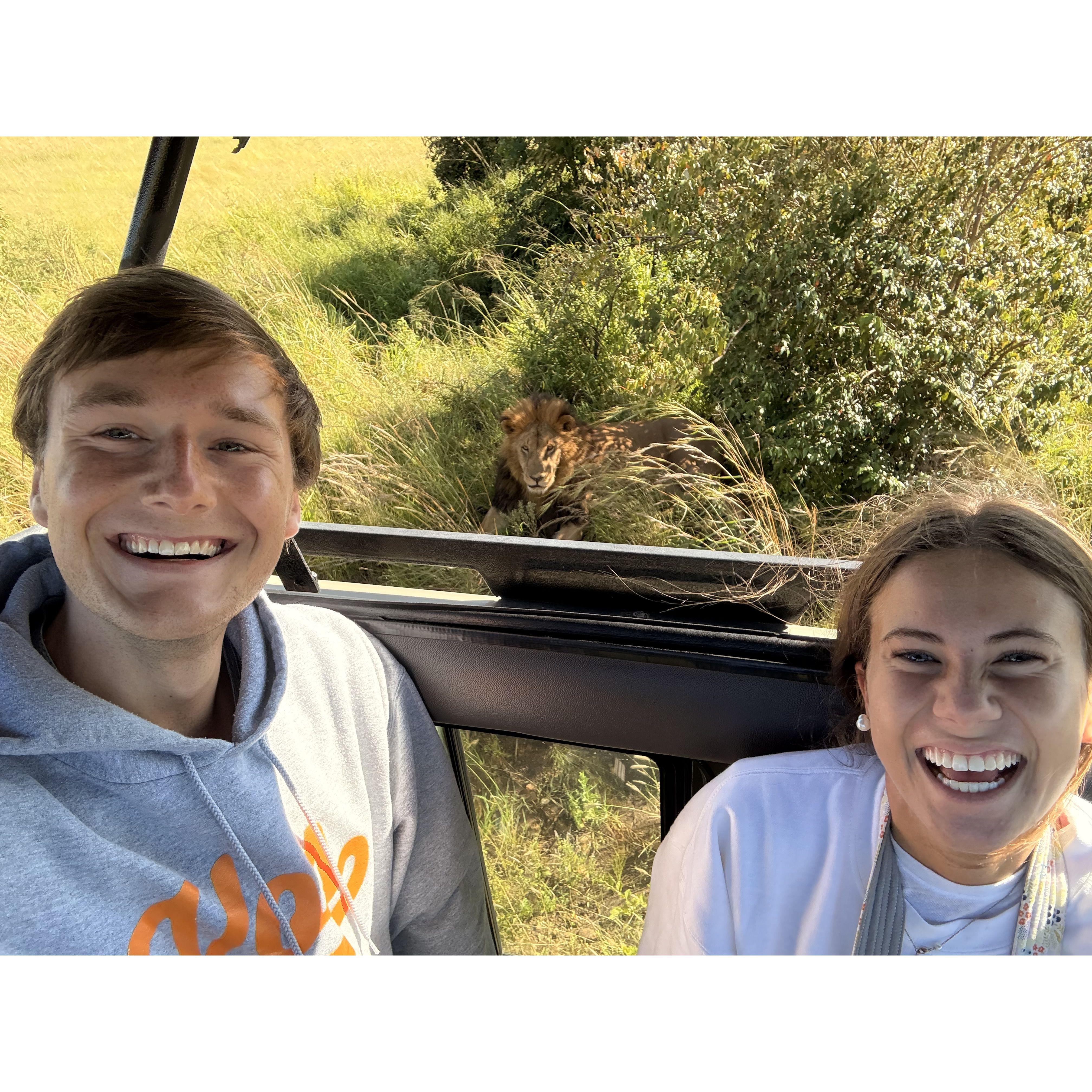 A lion sighting in Masai Mara, Kenya!