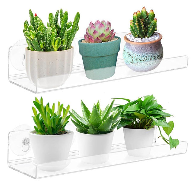 Skewo 2-Pack 12 Inch Window Plant Shelves - Acrylic Suction Cup Sill Extender for Succulents, Herb Planters, Micro Greens, Bathroom Organizer, Display Stand & Cosmetics Storage | Space-Saving