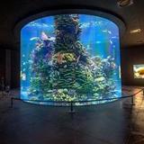 Gran Acuario Mazatlán
