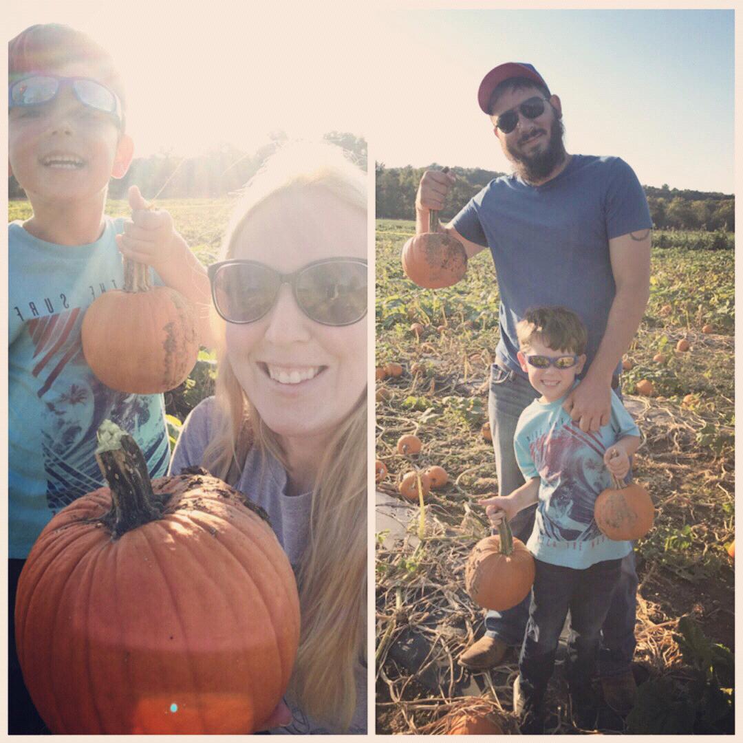 Pumpkin picking October 2018