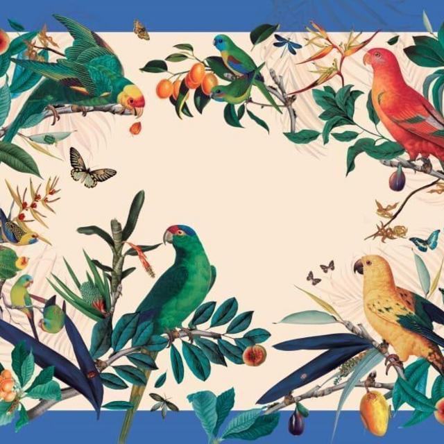Parrots Blue Sky Placemat