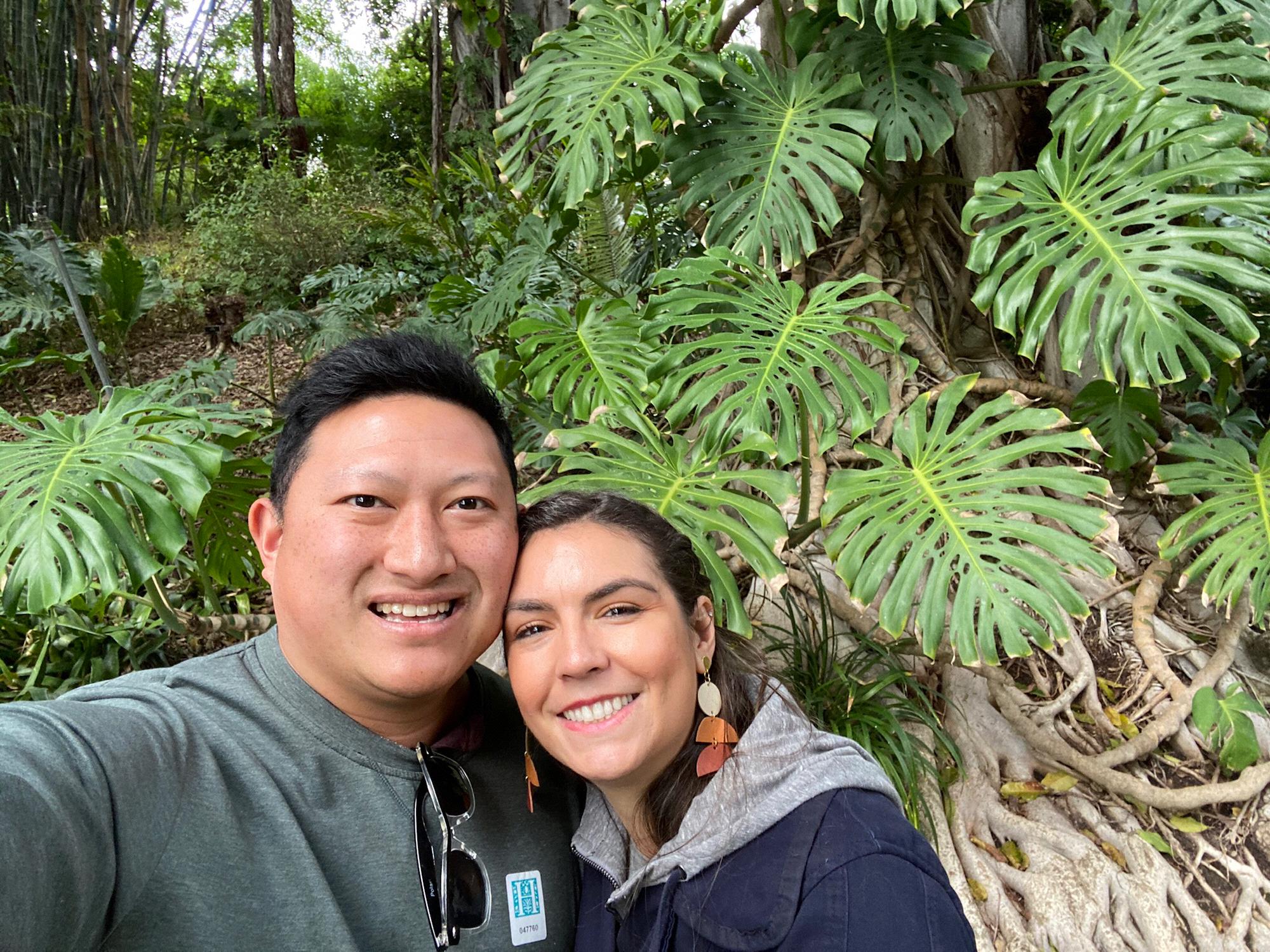Christmas walk through the botanical gardens.