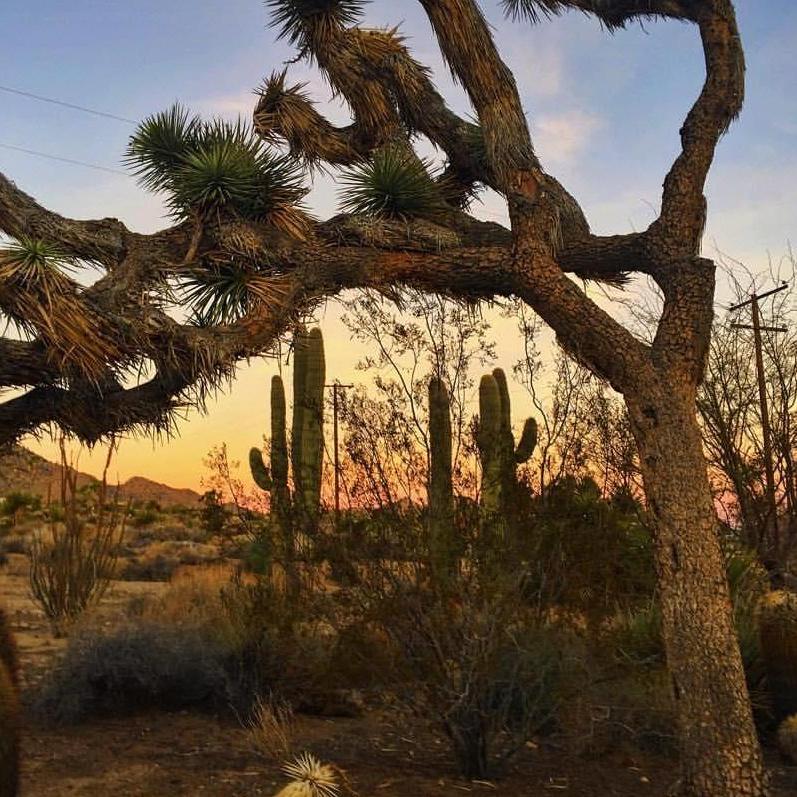 Sunset in California.