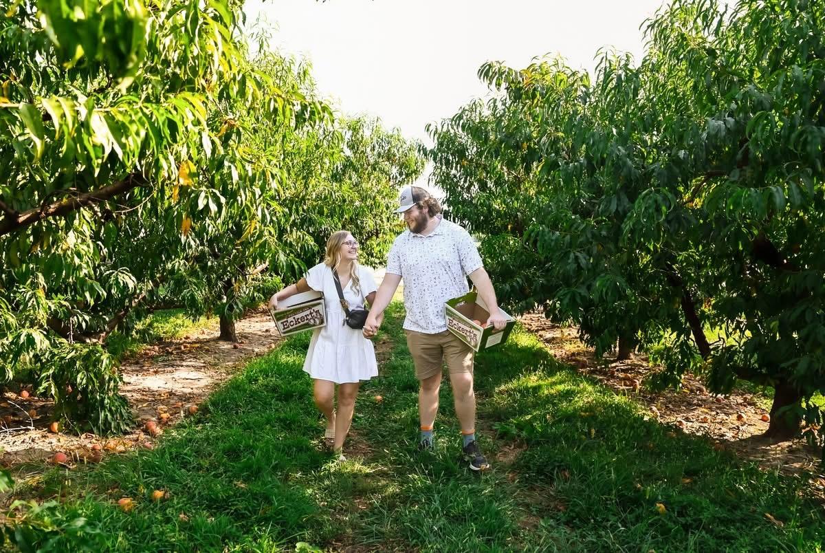 The Wedding Website of Zoey Henry and Benjamin Hartman