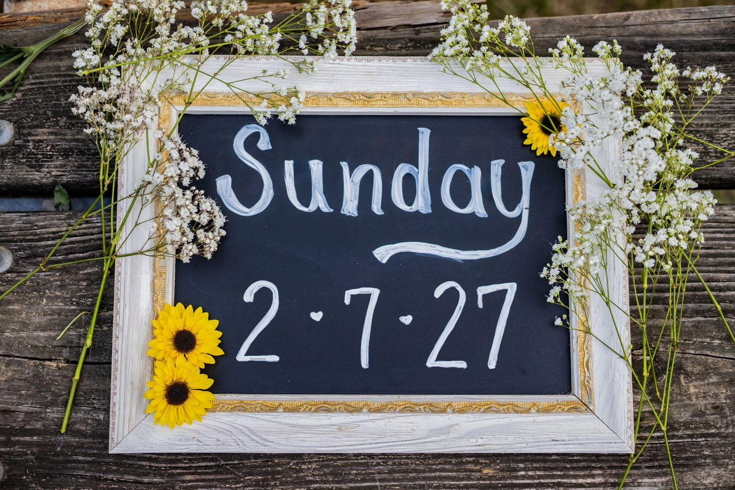 The Wedding Website of Meredith Bell and Matthew Vander Wiede