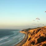 Torrey Pines State Beach