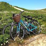 Nantucket Bike Tours