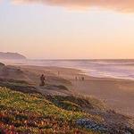 Limantour Beach