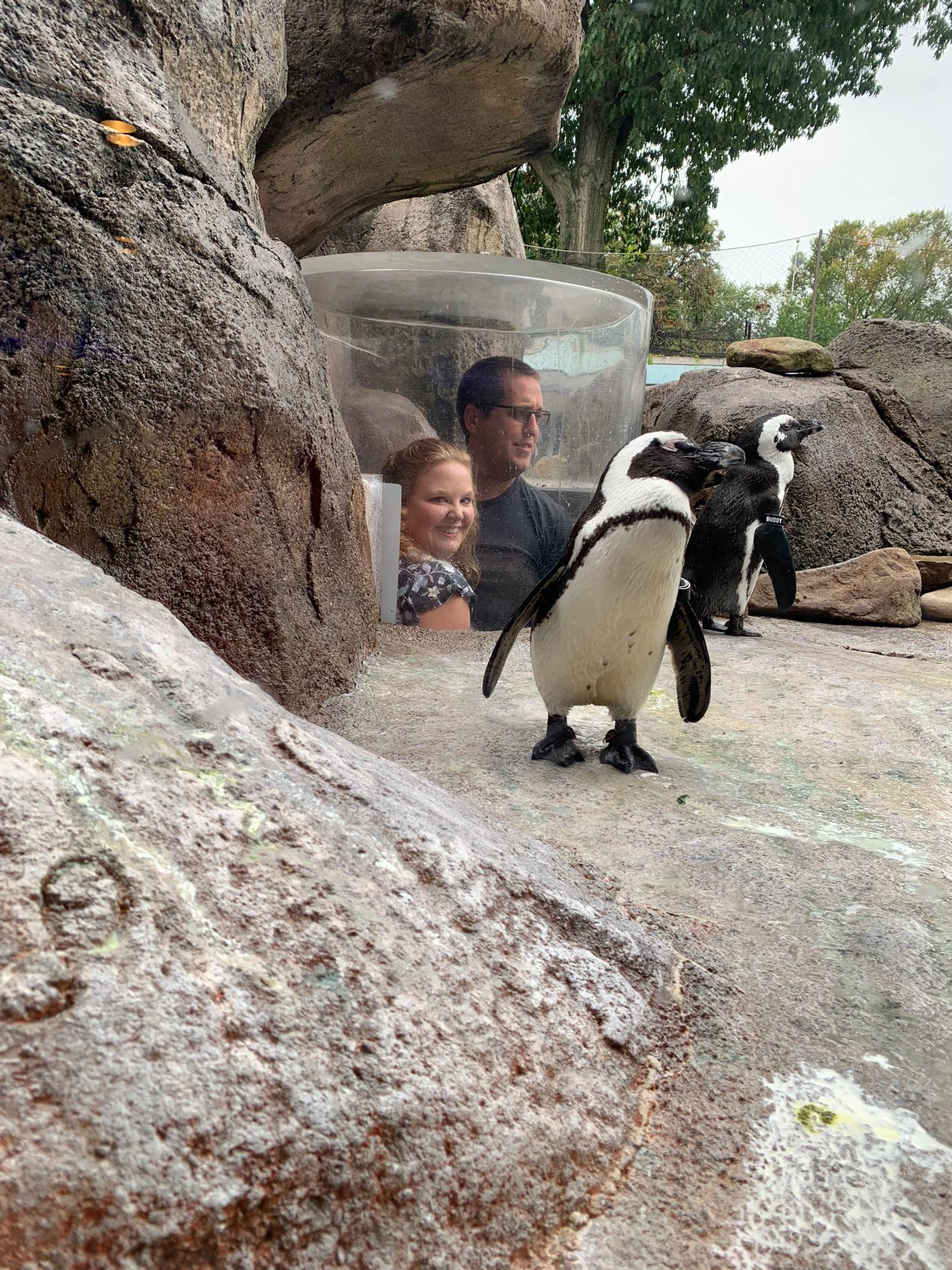 Pittsburgh National Aviary 9/1/2019