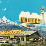 Hadley Fruit Orchard