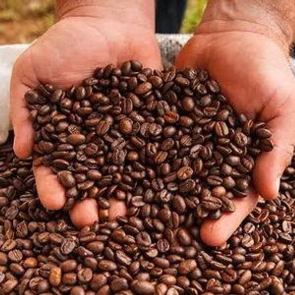 Costa Rica Coffee Experience On Our Honeymoon