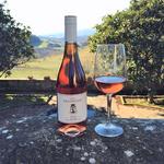 Wine Tasting at Travignoli