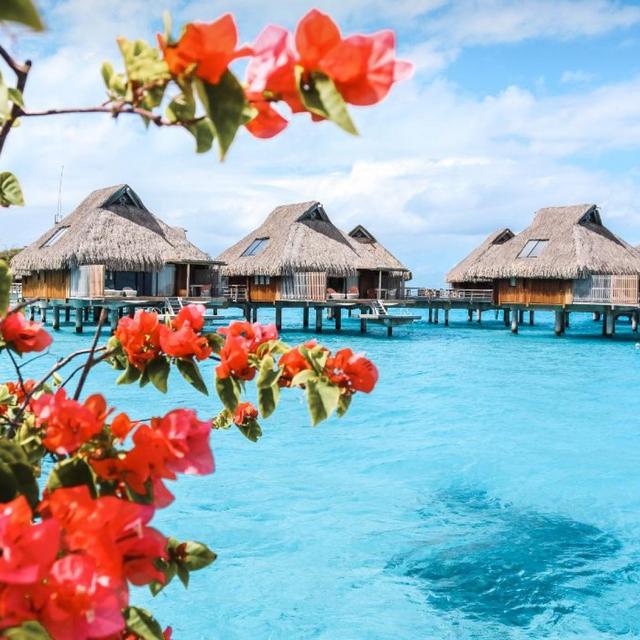 Bora Bora Honeymoon