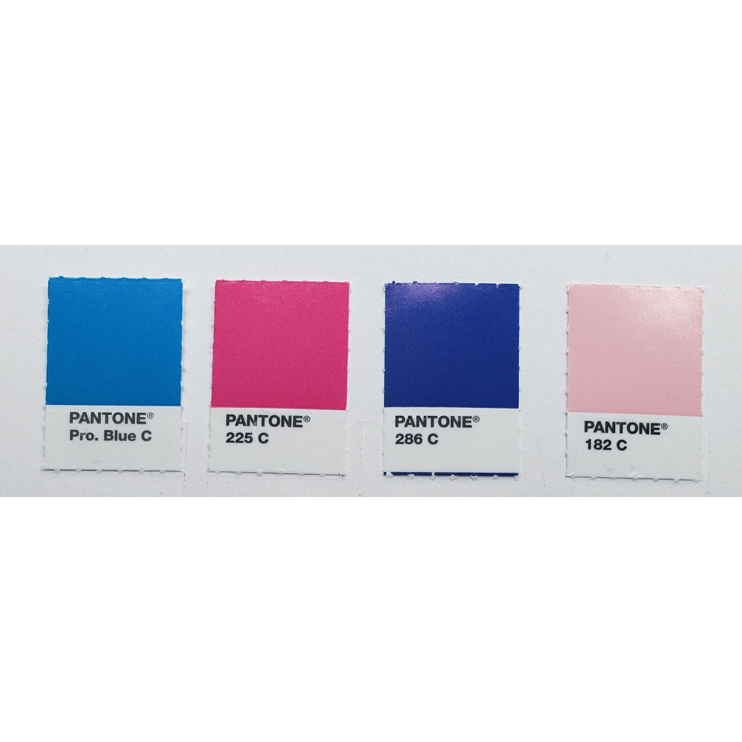 The colors selected for our wedding