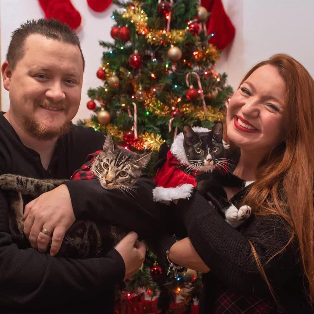 Our first kitty Christmas!