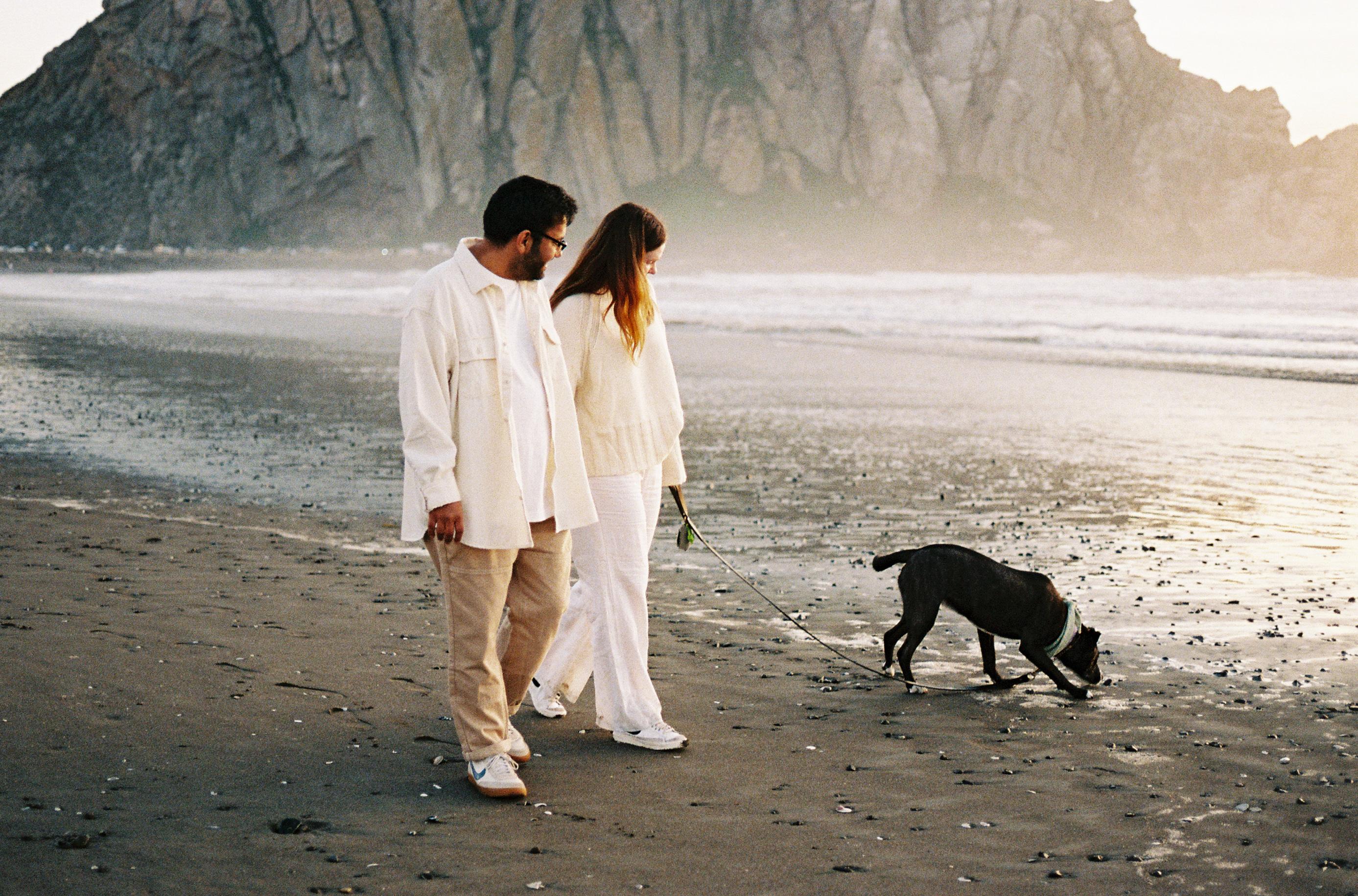 The Wedding Website of Lauren Mills and Aneet Bains
