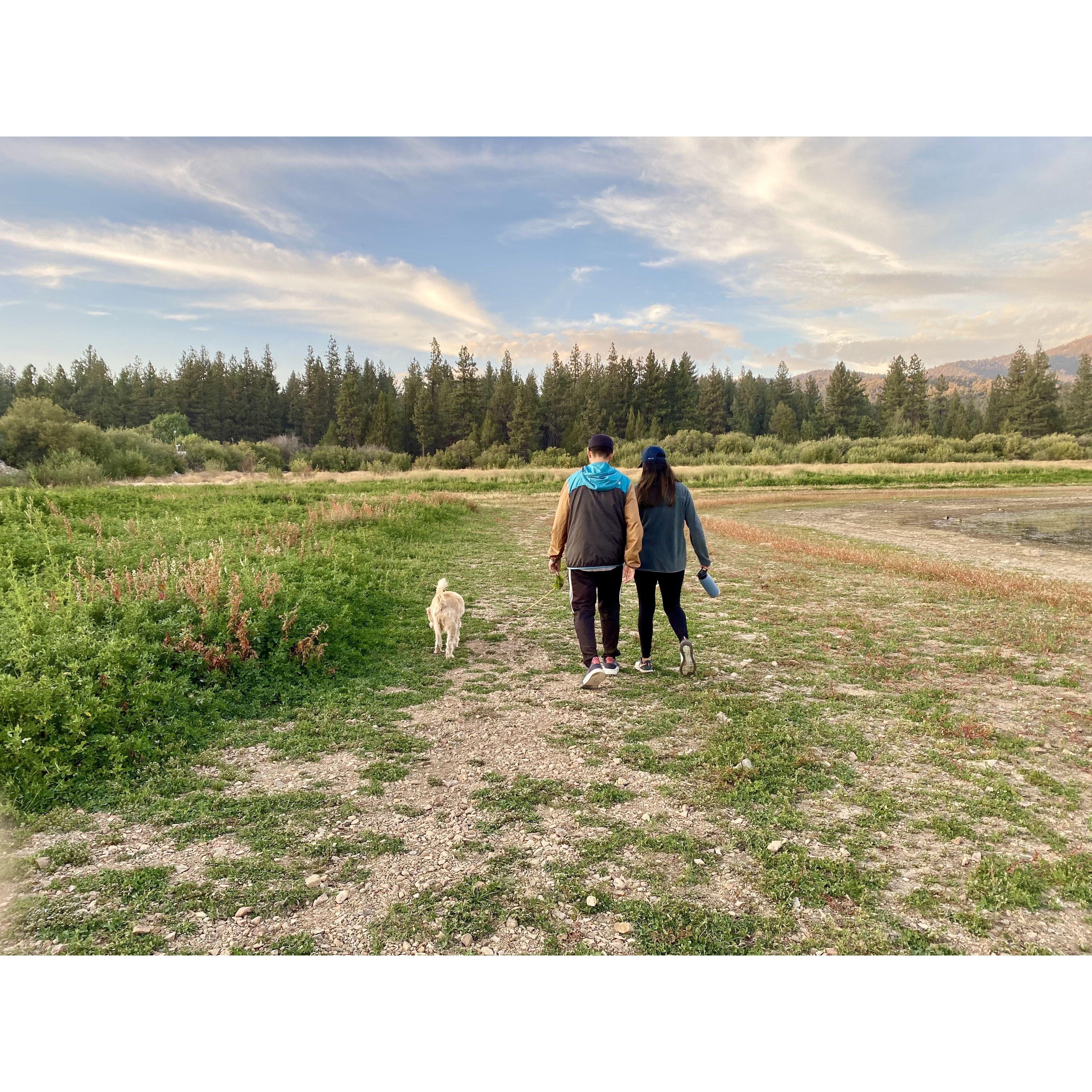 Camping with Honey in Big Bear