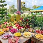 🥭 Desaru Fruit Farm 🥭