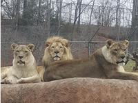 Oklahoma City Zoo