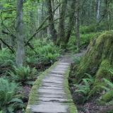 Little Mountain Park