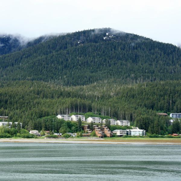 Juneau and the Mendenhall Glacier Tour