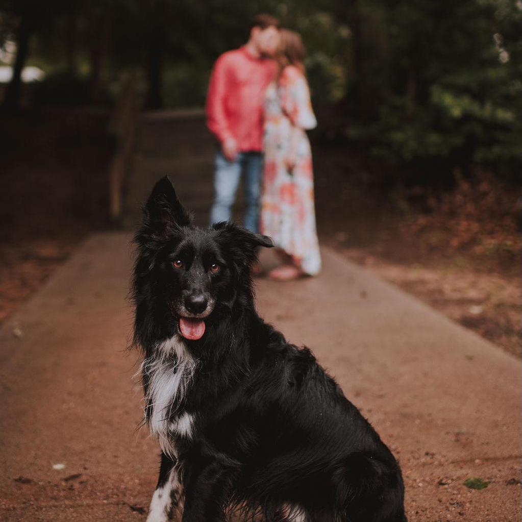 Tux making his appearance at our engagement photo session
