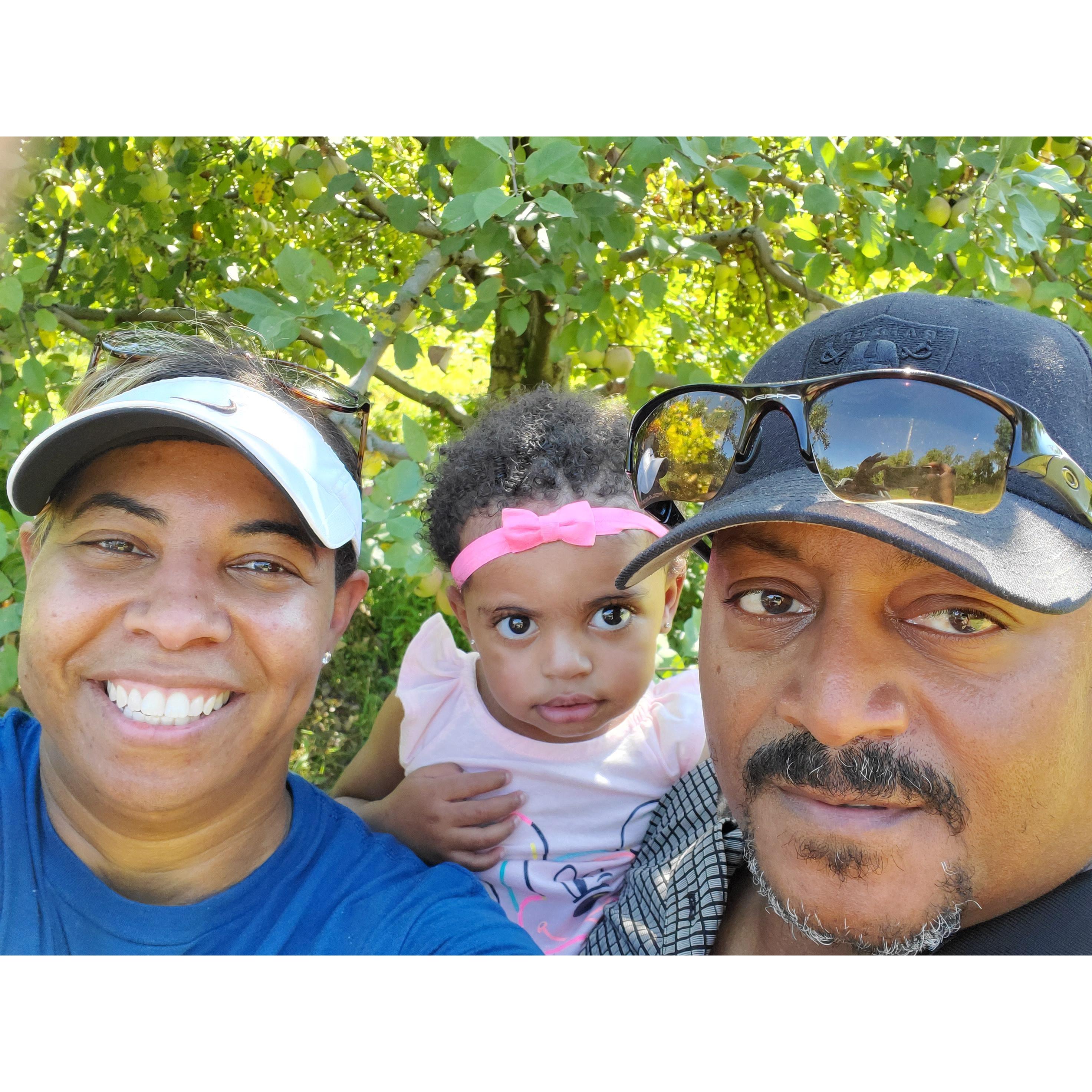 Apple orchard visit with Princess Leila!