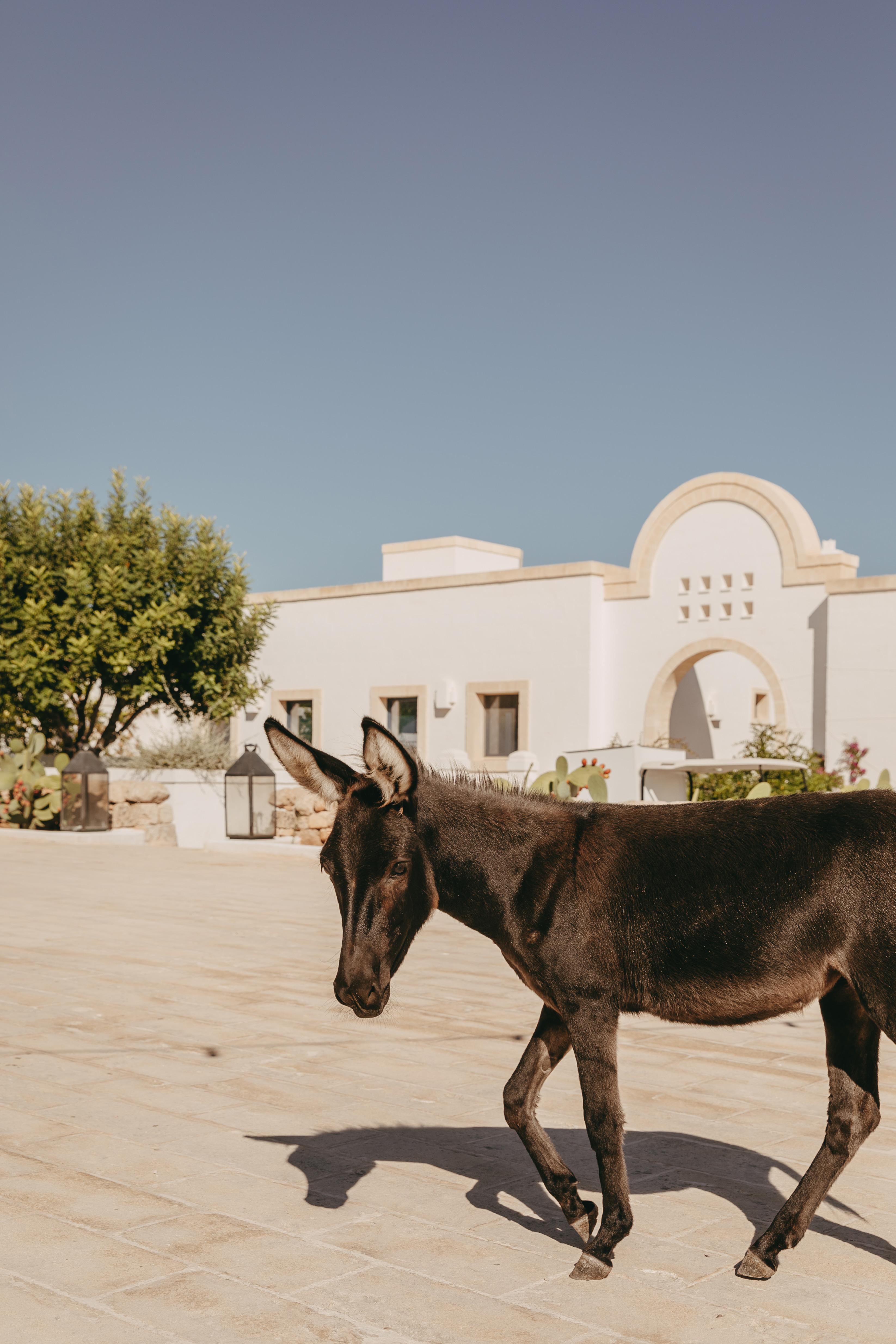 The Wedding Website of Andy George and Kirsten Hanafee