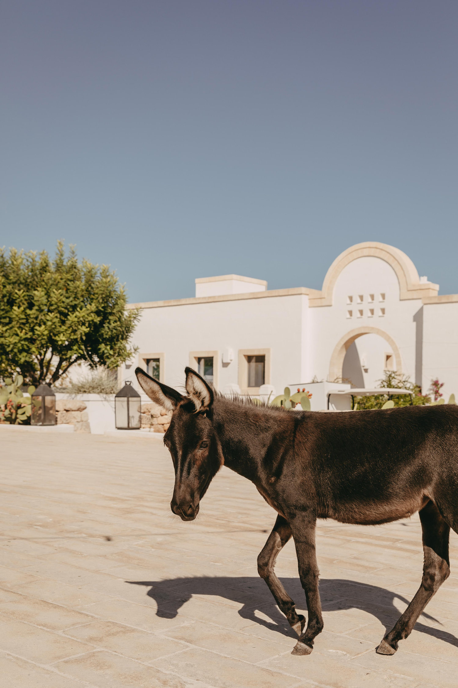 The Wedding Website of Andy George and Kirsten Hanafee