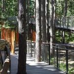 Dow Gardens and the Whiting Forest of Dow Gardens