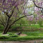 Brandywine River Museum of Art