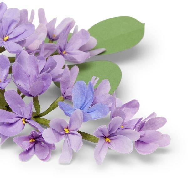 Artist Livia Cetti's Lilac Stem