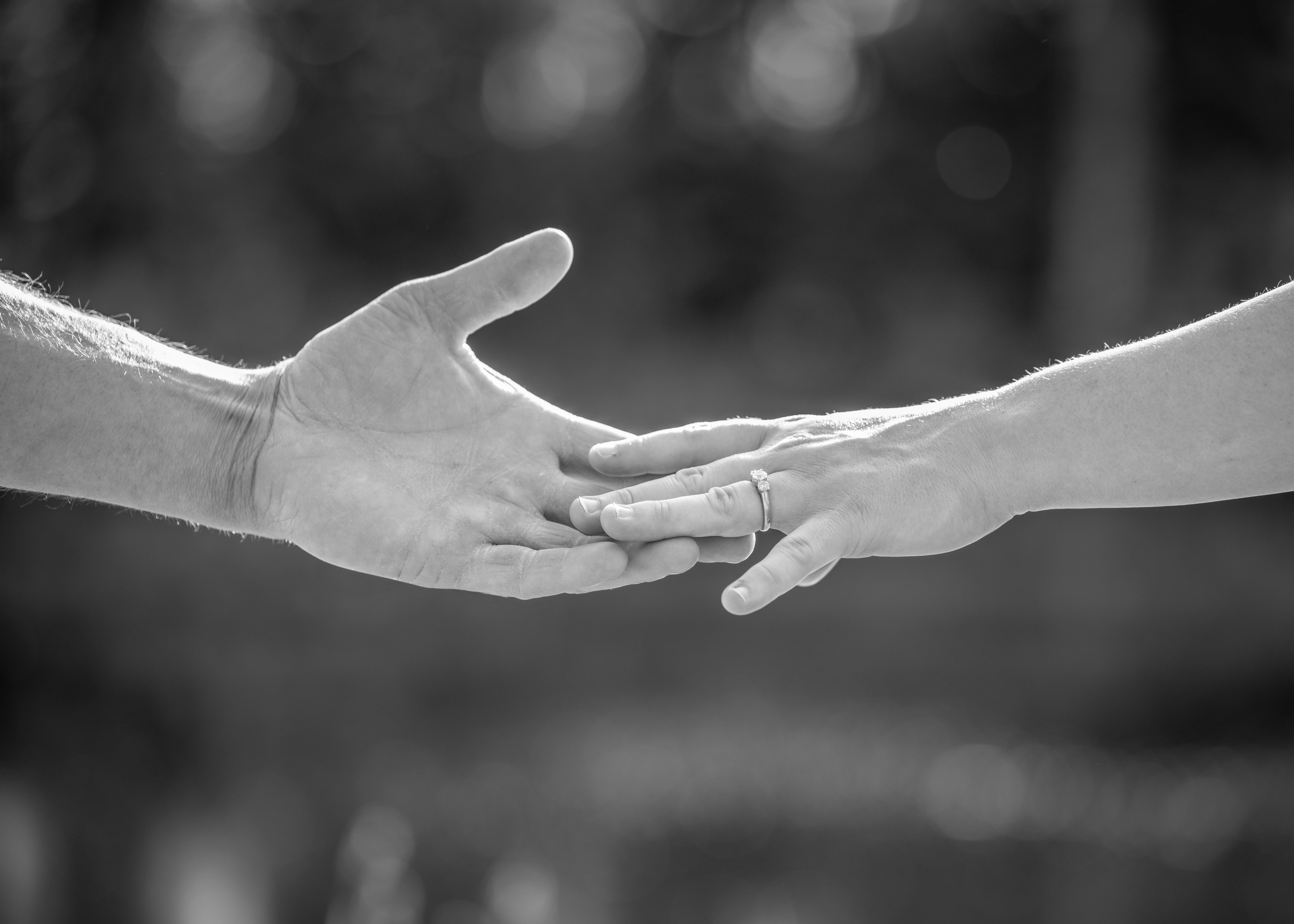 The Wedding Website of Carolyn Sabady and Bradley Sabady