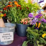 Half Moon Bay Farmers Market