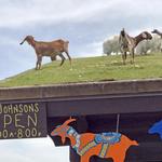 Al Johnson’s Swedish Restaurant & Butik