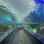 Aquarium Toronto